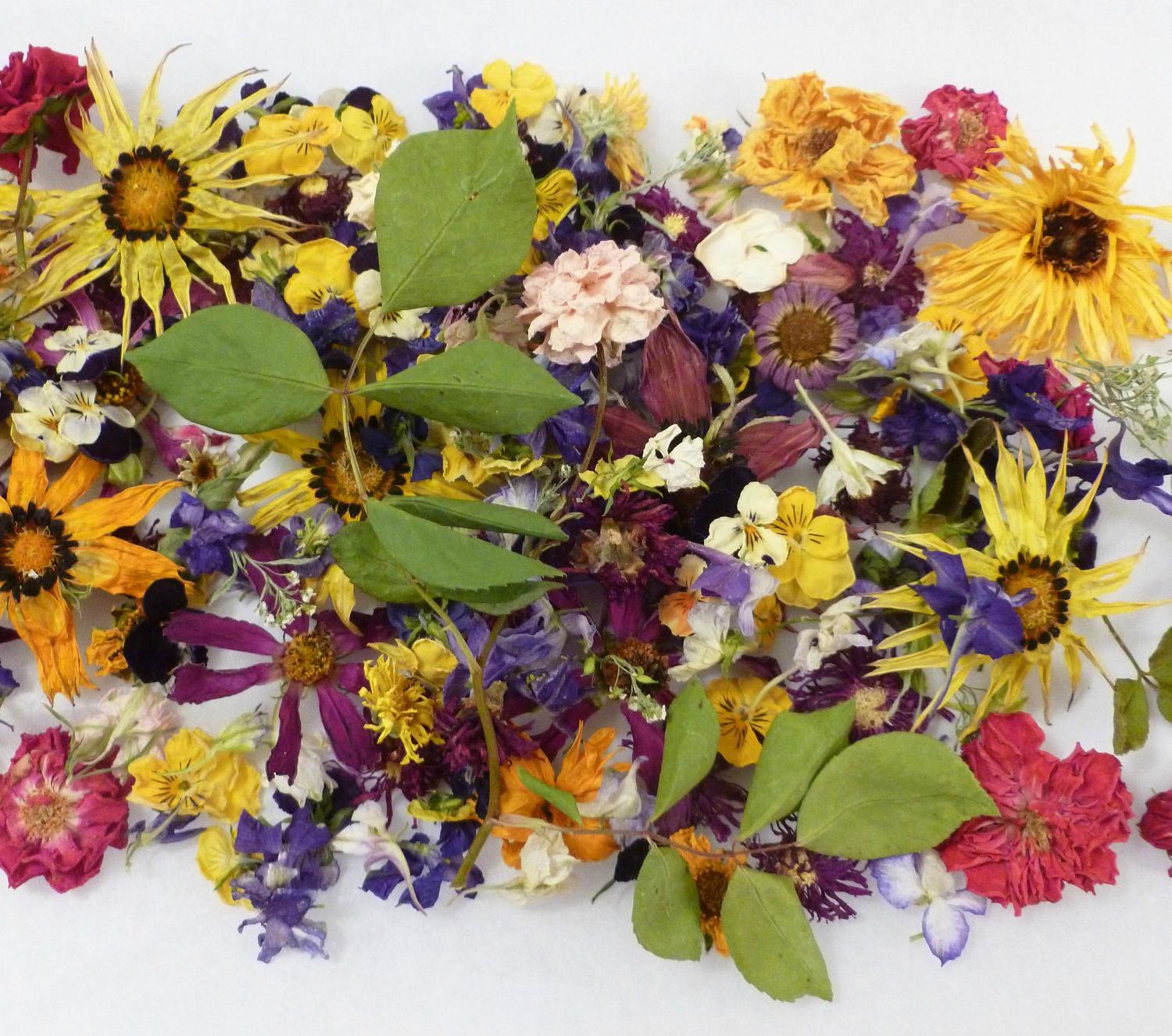 Wedding Rustic Table Decoration 100 Dried Flowers