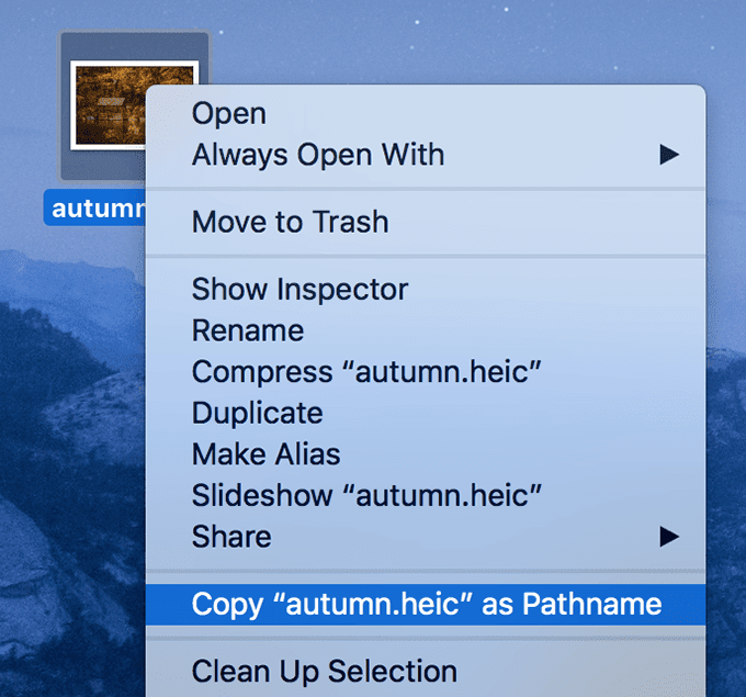Щелкните правой кнопкой мыши меню, удерживая клавишу Option, чтобы открыть параметр «Копировать как путь».