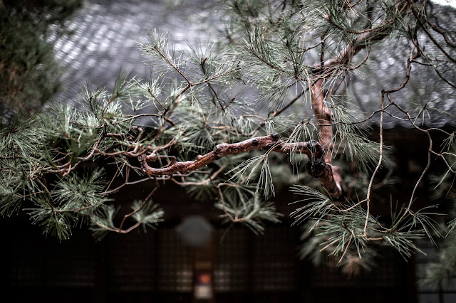 川越のお寺　中院