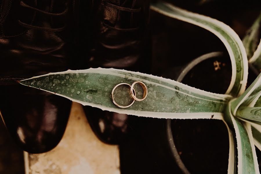 Photographe de mariage Aleksandr Vizovickiy (vizovi). Photo du 11 novembre 2017