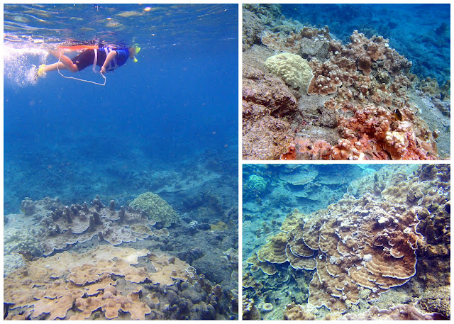  Kapoho Tide pools