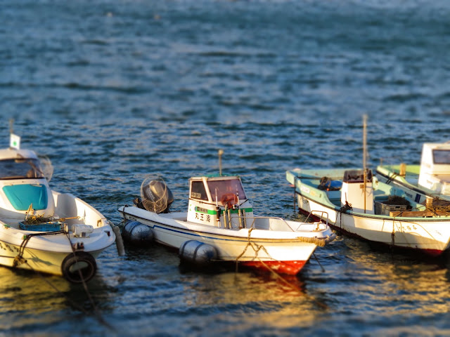 Canon PowerShot SX700 HSジオラマ風写真井の浦海岸-4