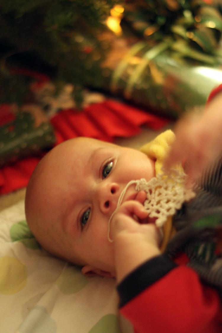 the ornaments and lights.