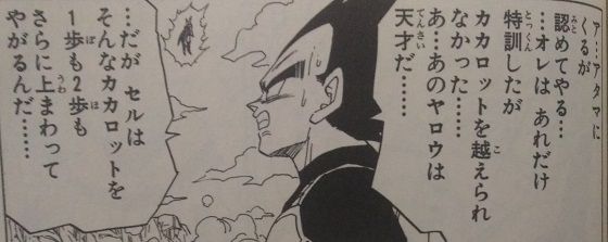 ドラゴンボール 悟空とベジータは戦闘力的にはライバルと言えるのか まったりぐったり