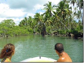 boipeba-Lancha-Rapida-Manguezais