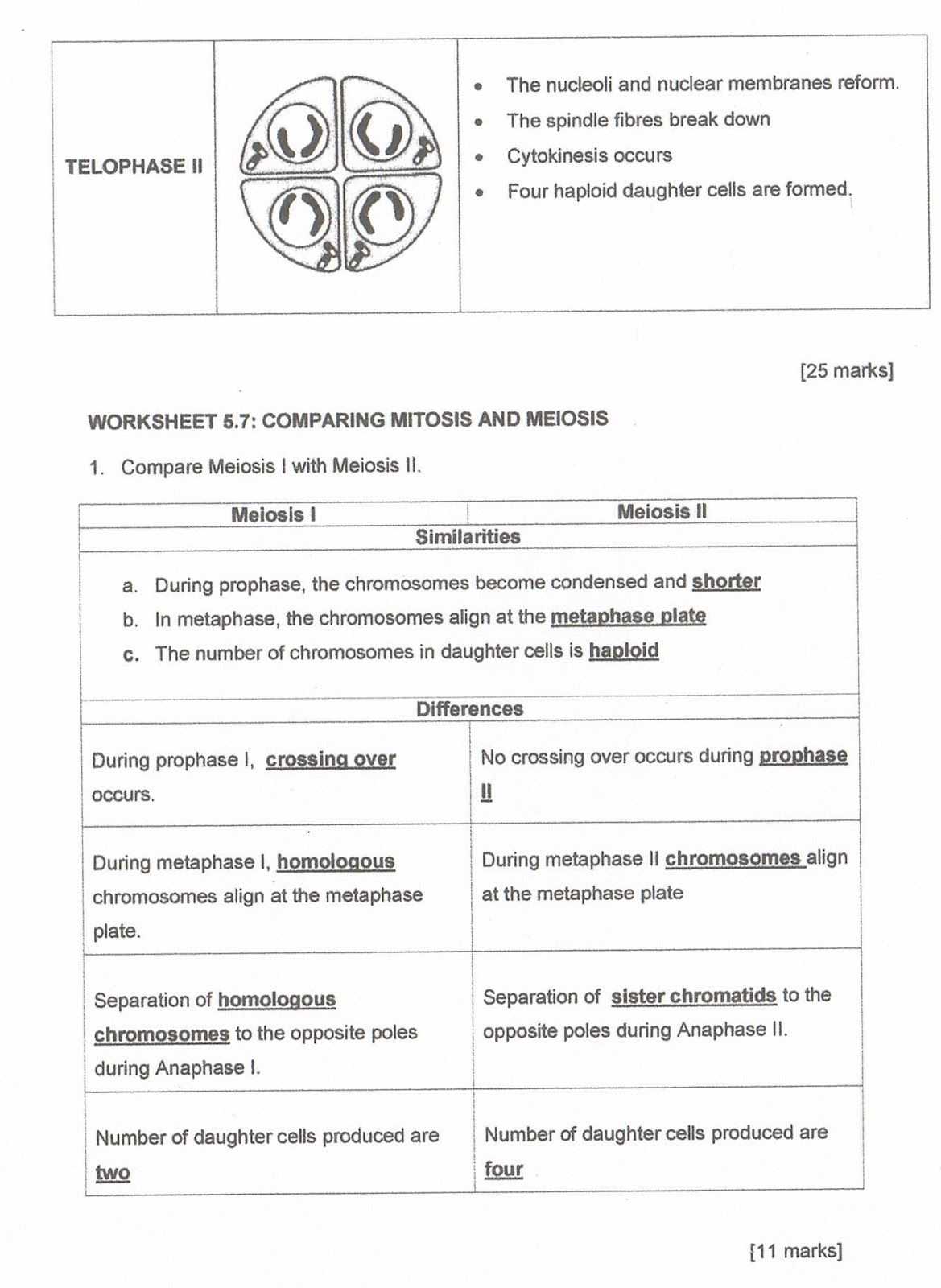 Biology Form 4 Chapter 5 Module S Answer