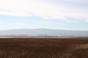 Moffett Field and NASA Ames Research Center from Alviso Slough