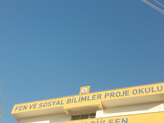 Fen Ve Sosyal Bilimler Proje Okulu