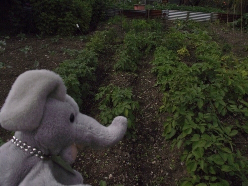 https://lh3.googleusercontent.com/-BPOixbd-c9E/UBkPgQL4zTI/AAAAAAAAGhE/5REVHUbTj8Q/s500/july12plot16.jpg