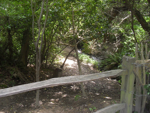 SDC11564 Start of the path down to Fairlight Glen's beach