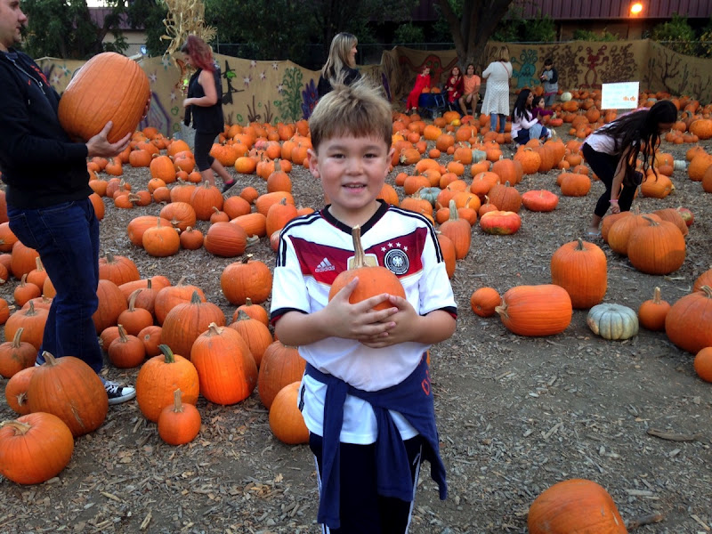 PumpkinPatch2