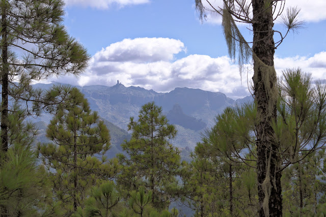 GRAN CANARIA MAR Y MONTE - Blogs de España - ARTENARA Y PARQUE NATURAL DE TAMADABA (15)