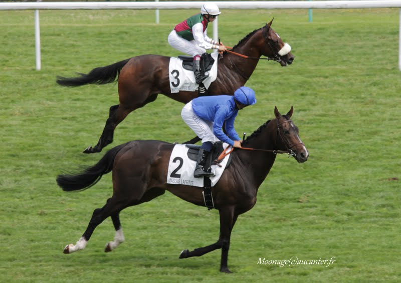 Photos Maisons-Laffitte 5-07-2015 IMG_2396