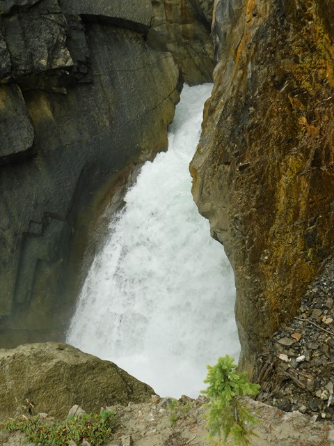 C104_CAN AL Banff NP Weeping Wall_2018-08-14_DSCN2428