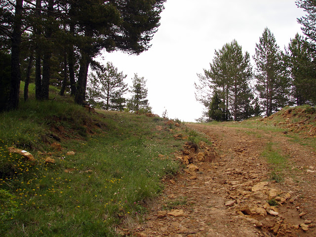 Senderismo - Linares de Mora - Pistas de esquí - Monegro - Molinete - Pino Escobón