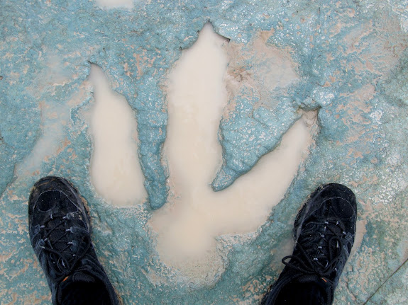 Dinosaur track near Mill Canyon with some size 12s for scale