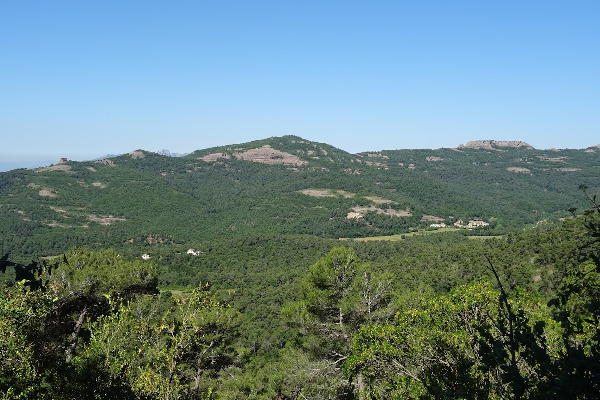 DSC03110.JPG