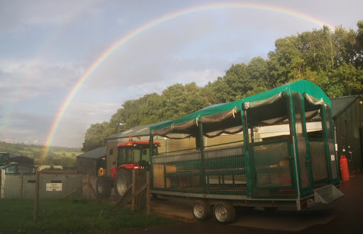 Belmont Children's Farm