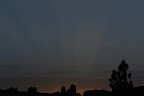 DSC_0733-01.jpeg