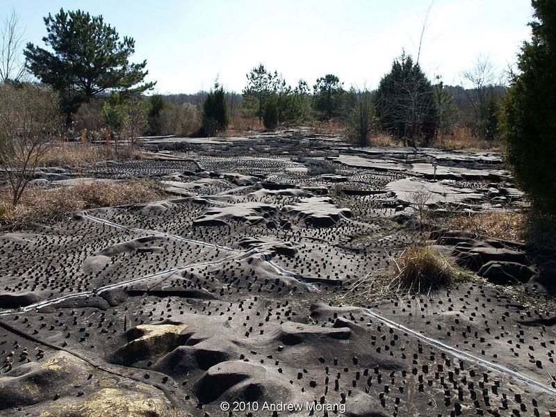 mississippi-river-basin-model-1