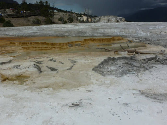 Mammoth Hot Springs. Valle de Lamar. Calcite Springs. Tower Falls. 12 Julio - LAS ROCOSAS DE CANADA. YELLOWSTONE Y GRAND TETON. (17)