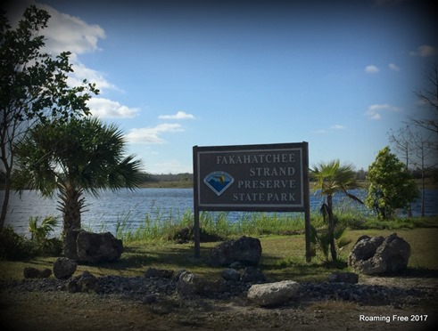 Fakahatchee Strand