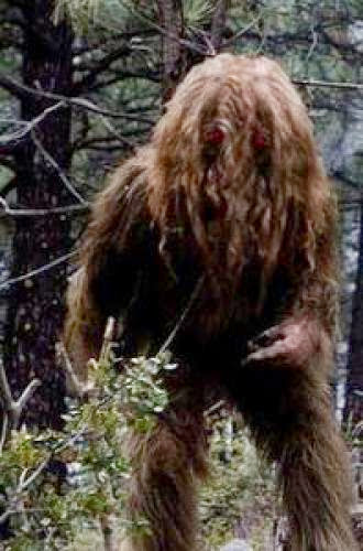 Bigfoot Investigators Swarmed Louisiana