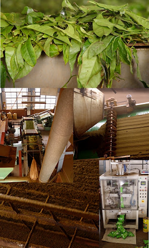 Tea Factory