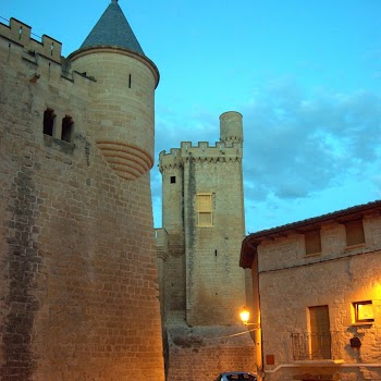 OLITE 14-08-2012 21-42-57.NEF.jpg