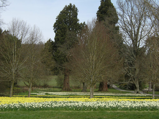 DSCF7052 Groombridge Place Gardens in spring