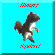 Download  Hungry Squirrel 