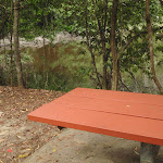 Table at Seymour Pond picnic area (226585)