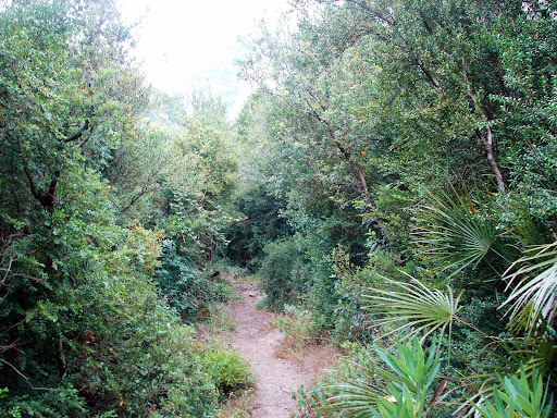 senderismo: Mont Caro por el barranco de Lloret