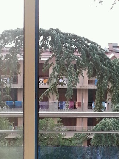 Photos of Park Hotel "Perla"