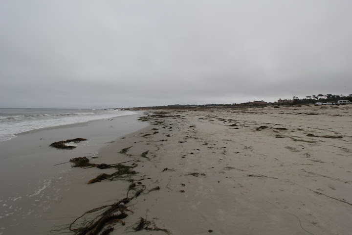 17 Mile Drive - California, Naturaleza-USA (3)