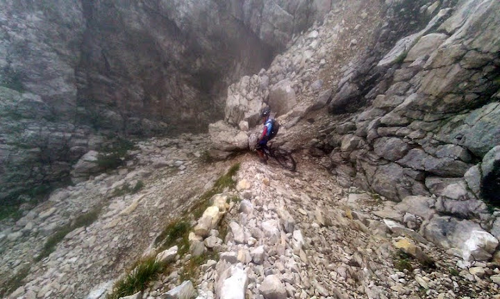 IMAG0646.jpg