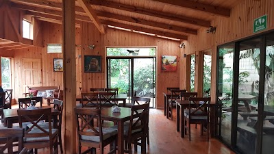 Photos of Stella's Bakery