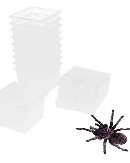 10x Feeding Box Reptile Cage Hatching Container Rearing T... - 0