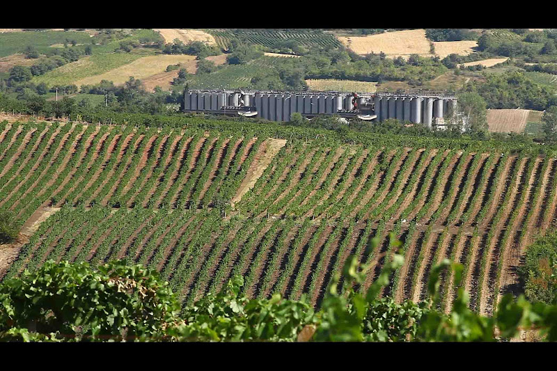 Main image of Stonecastle Vineyards and Winery