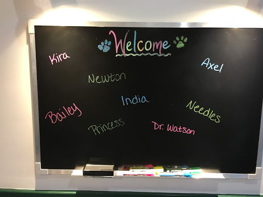 Veterinarian «Stratford Hills Veterinary Center», reviews and photos