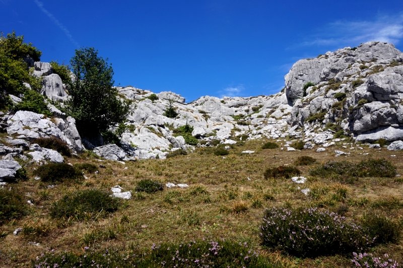 La Siella y Barzanalga (PN Ubiñas-La Mesa) - Descubriendo Asturias (45)