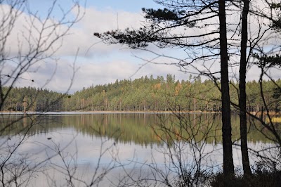 photo of Klosjöns naturreservat