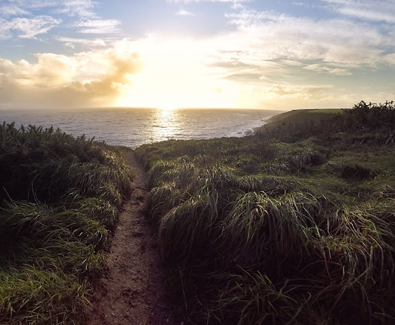 Ballycotton Cliff Walk. From 11 photos that capture the essence of rural Ireland