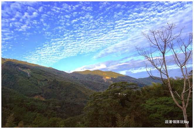 南投住宿推薦【金台灣山莊民宿】鹿谷鄉溪頭無敵山景