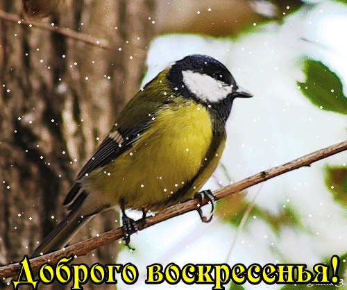 https://lh3.googleusercontent.com/-BvWZyU50Tfc/Wf_qvKxukII/AAAAAAABkCI/CketzkXpEPA0soUEEtXh5bRT4hGt-H8BACHMYCw/s0/omagiu6edj1z8pb.gif
