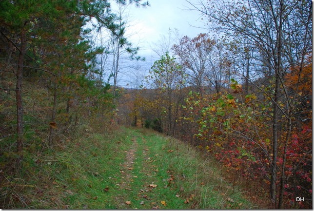 10-31-15 Cumberland Gap Saddle Hike (118)