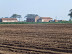 farm buildings at Wainfleet Tofts