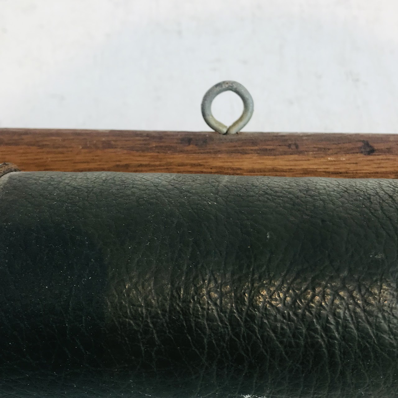Mounted Steer Horns