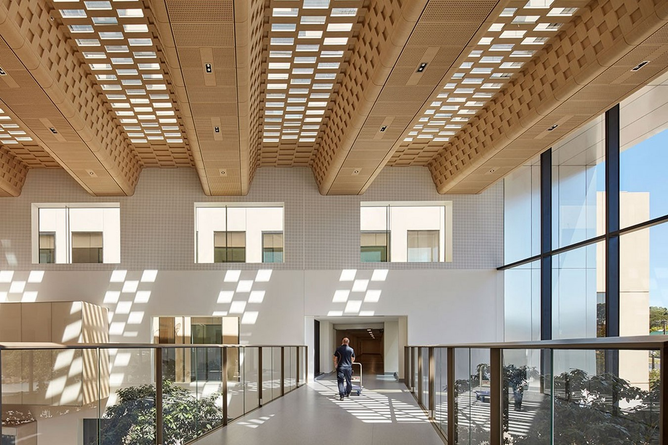 Natural ventilation and daylighting in a building