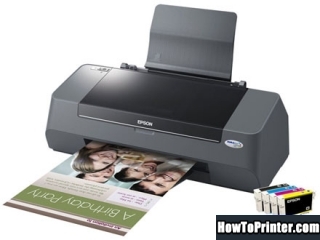 Reset Epson C90 printer use Epson Waste Ink Pad Counters resetter